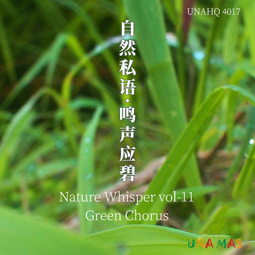 18厘米裸男自慰吞精
